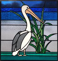 Pelican