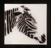 Frit Design Black Frit on White