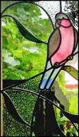 Galah Leadlight