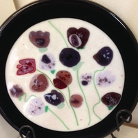 Fused Plate with Vitrigraph